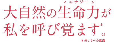 大自然の生命力<エナジー>が私を呼び覚ます。＊美しさへの意識