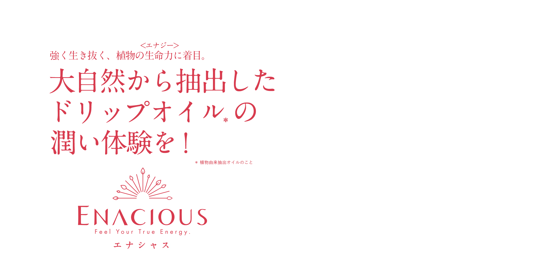 強く生き抜く、植物の生命力<エナジー>に着目。大自然から抽出したドリップオイル の 潤い体験を!